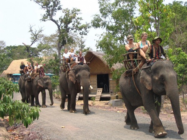 Elephant riding tour